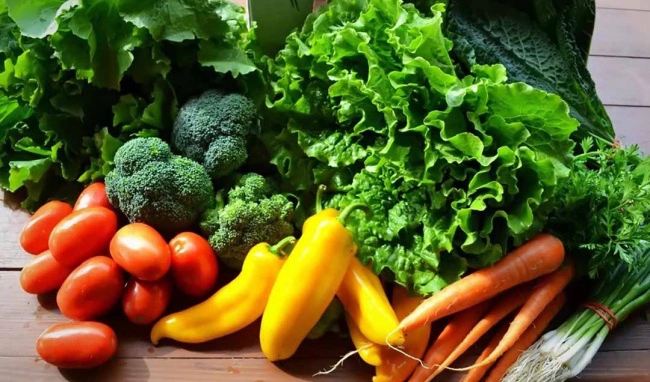 máu nhiễm mỡ nên ăn gì