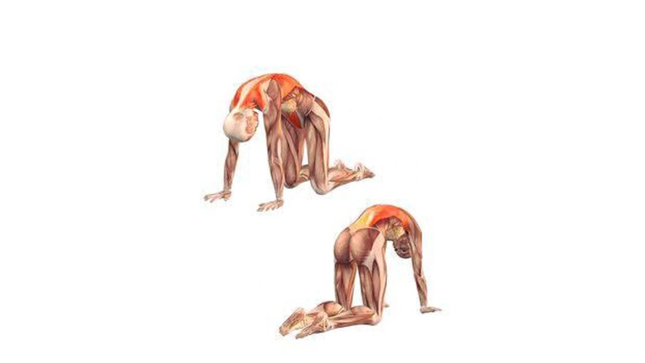 yoga trị liệu